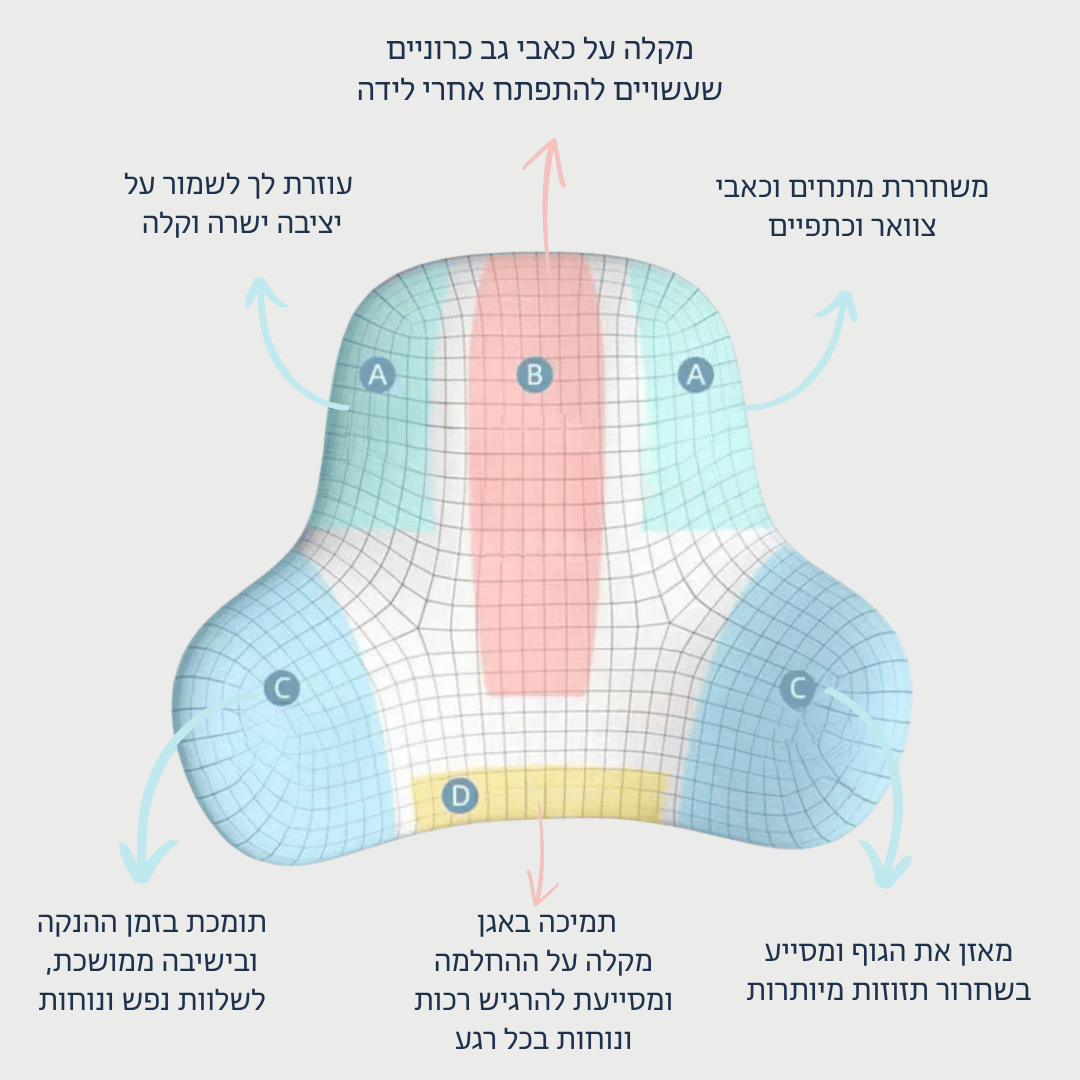 כרית פרימיום למניעת כאבי גב להריון ואחרי לידה -ElvanyahBliss